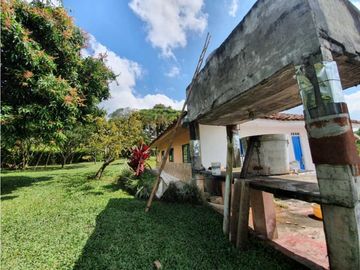 SE VENDE FINCA PRODUCTIVA VEREDA ENTRE FILANDIA - QUIMBAYA