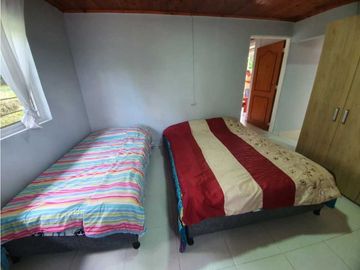 SE VENDE FINCA PRODUCTIVA VEREDA ENTRE FILANDIA - QUIMBAYA