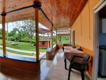 SE VENDE FINCA PRODUCTIVA VEREDA ENTRE FILANDIA - QUIMBAYA