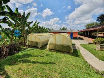 SE VENDE FINCA PRODUCTIVA VEREDA ENTRE FILANDIA - QUIMBAYA