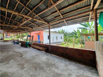 SE VENDE FINCA PRODUCTIVA VEREDA ENTRE FILANDIA - QUIMBAYA