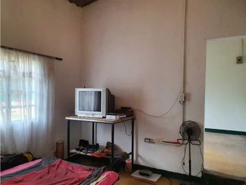 SE VENDE FINCA PRODUCTIVA VEREDA ENTRE FILANDIA - QUIMBAYA
