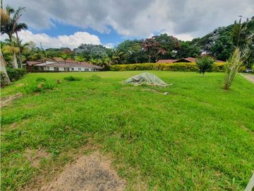 SE VENDE FINCA PRODUCTIVA VEREDA ENTRE FILANDIA - QUIMBAYA