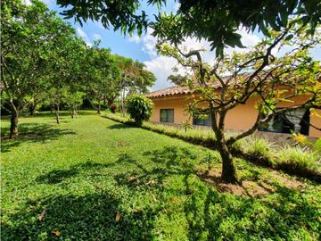 SE VENDE FINCA PRODUCTIVA VEREDA ENTRE FILANDIA - QUIMBAYA