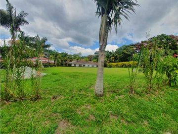 SE VENDE FINCA PRODUCTIVA VEREDA ENTRE FILANDIA - QUIMBAYA