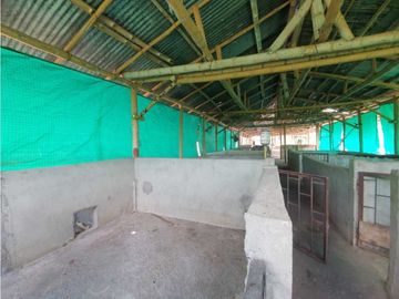 SE VENDE FINCA PRODUCTIVA VEREDA ENTRE FILANDIA - QUIMBAYA