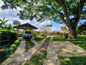 SE VENDE FINCA PRODUCTIVA VEREDA ENTRE FILANDIA - QUIMBAYA