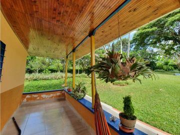 SE VENDE FINCA PRODUCTIVA VEREDA ENTRE FILANDIA - QUIMBAYA