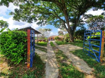 SE VENDE FINCA PRODUCTIVA VEREDA ENTRE FILANDIA - QUIMBAYA