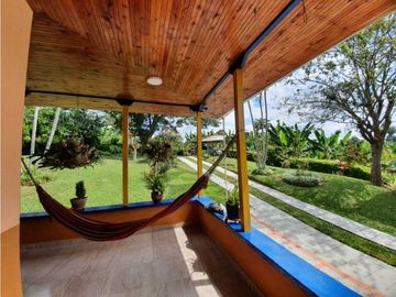 SE VENDE FINCA PRODUCTIVA VEREDA ENTRE FILANDIA - QUIMBAYA