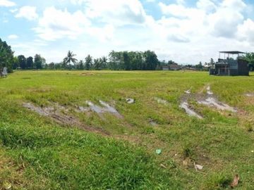 Tanah Dijual Kavling Kampus Dreamland Jember