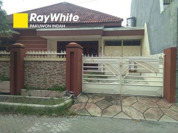 Rumah disewakan Simpang darmo permai selatan