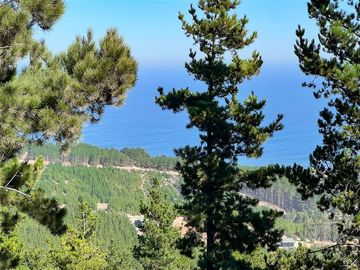 Sitio en Venta en Loteo Boyeruca, Terreno comuna Vichuquen
