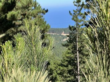 Sitio en Venta en Loteo Boyeruca, Terreno comuna Vichuquen