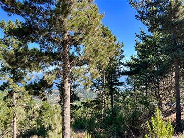 Sitio en Venta en Loteo Boyeruca, Terreno comuna Vichuquen