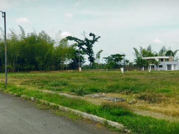 lote en venta en paso de la bolsa. Cod V127475