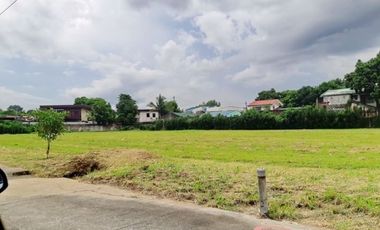 Commercial Lot for Sale at Southwoods City