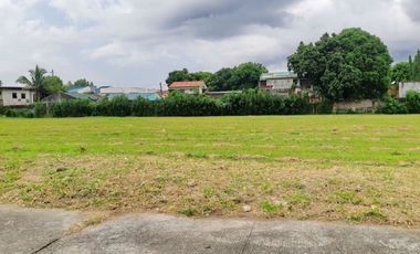 Commercial Lot for Sale at Southwoods City