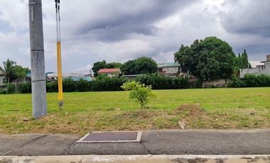 Commercial Lot for Sale at Southwoods City