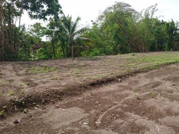 Tanah Kavling 1 jt'an di Cilame bisa Nego