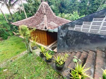 Rumah Villa Alam Pedesaan Tanah Luas 850 Jalan Magelang