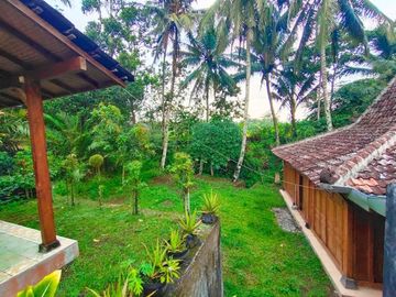 Rumah Villa Alam Pedesaan Tanah Luas 850 Jalan Magelang