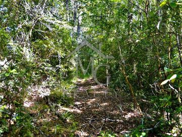 Parcela en venta en Panguipulli