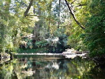 Parcela en venta en Panguipulli