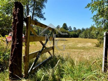 Parcela en venta en Panguipulli