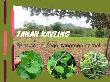 Tanah Kavling DP Hanya 5 Juta Saja dekat Pesantren Maros