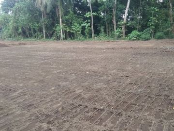 Tanah Dekat Alun-Alun Kajen Pekalongan, SHM Pekarangan, Harga 45 Jt-an