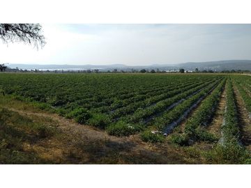VENTA RANCHO AJUCHITLAN QUERETARO