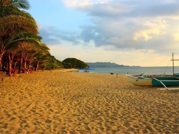 Beach lot for sale in Negros area size 2000 square meters