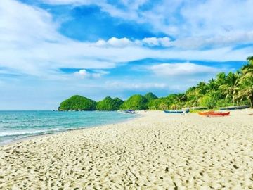 Beach lot for sale in Negros area size 2000 square meters