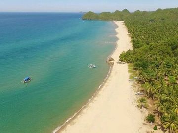 Beach lot for sale in Negros area size 2000 square meters