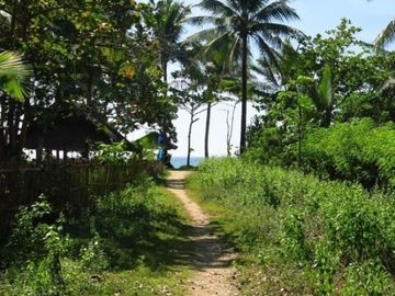 Beach lot for sale in Negros area size 2000 square meters