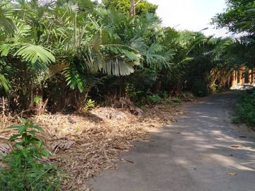 Tepat Untuk Homestay dan Investasi Rumah Joglo Kawasan Turi