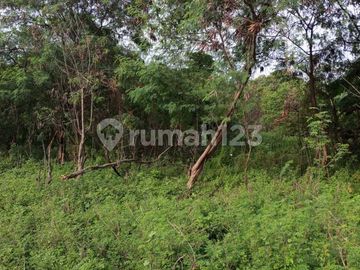 Dijual Kavling Kapuk Kamal Jakarta Barat