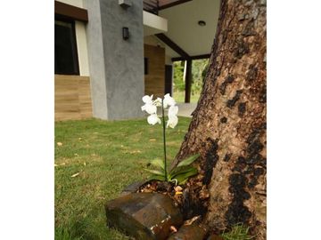 VENTA CASAS EN CORONADO PLAYA Y NATURALEZA BIO  LUXURY TERRA VIVA