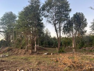 comuna de valdivia/quintrahueque - Casa - Venta