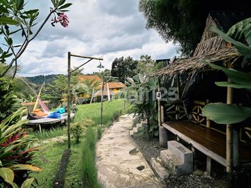 Villa Cafe Resort Ala Bali Ramai Beroperasi di Wisata Alam Gunung Pancar Sentul