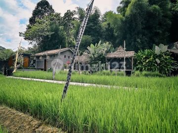 Villa Cafe Resort Ala Bali Ramai Beroperasi di Wisata Alam Gunung Pancar Sentul