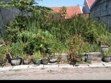 Kavling Medokan sawah timur 825 Jt negoo