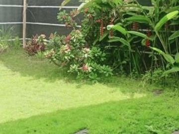 Disewakan Rumah di Pondok Hijau