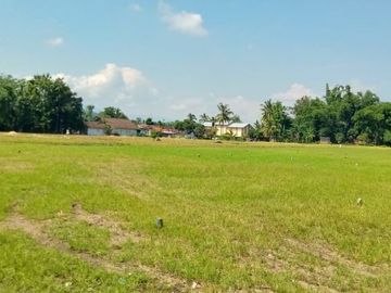 tanah kavling siap bangun kampus dreamland jember