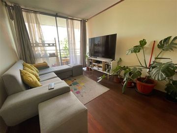 Departamento Sector García Hurtado de Mendoza, La Florida