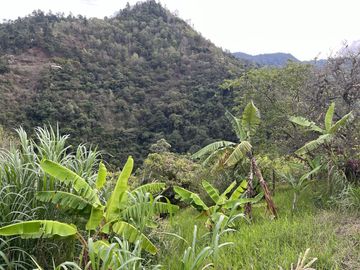 finca en venta en dagua. Cod V16652
