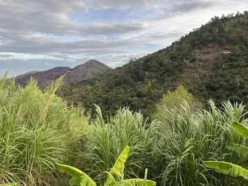 finca en venta en dagua. Cod V16652
