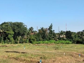 Rumah Sharia Green Living Gratis Smarthome Diskon Puluhan Juta Dramaga Bogor
