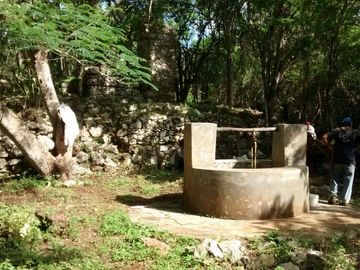 En Venta, Espectacular Terreno con más de 14 Cenotes, Vegetación alta y abundant